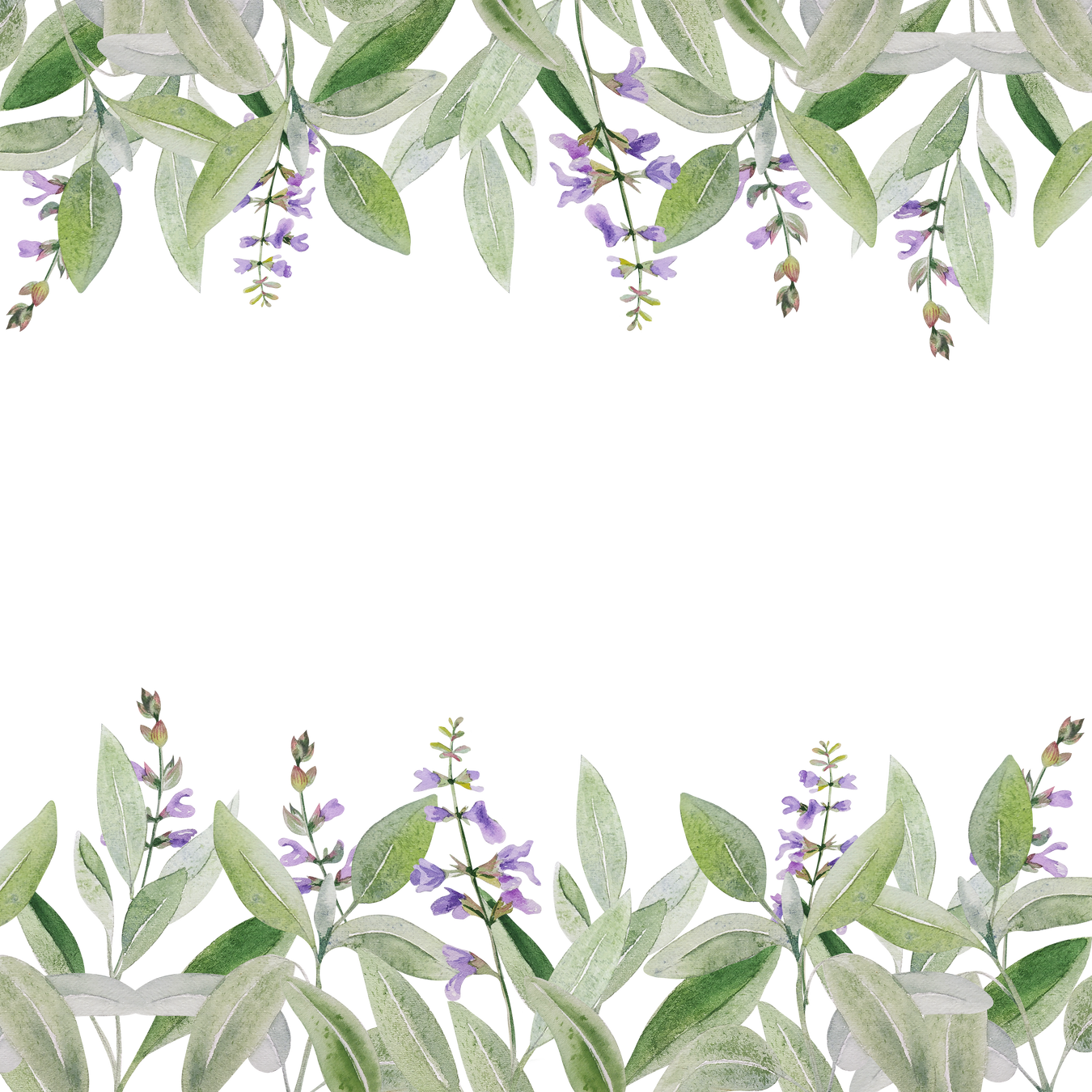 Sage herbs frame watercolor